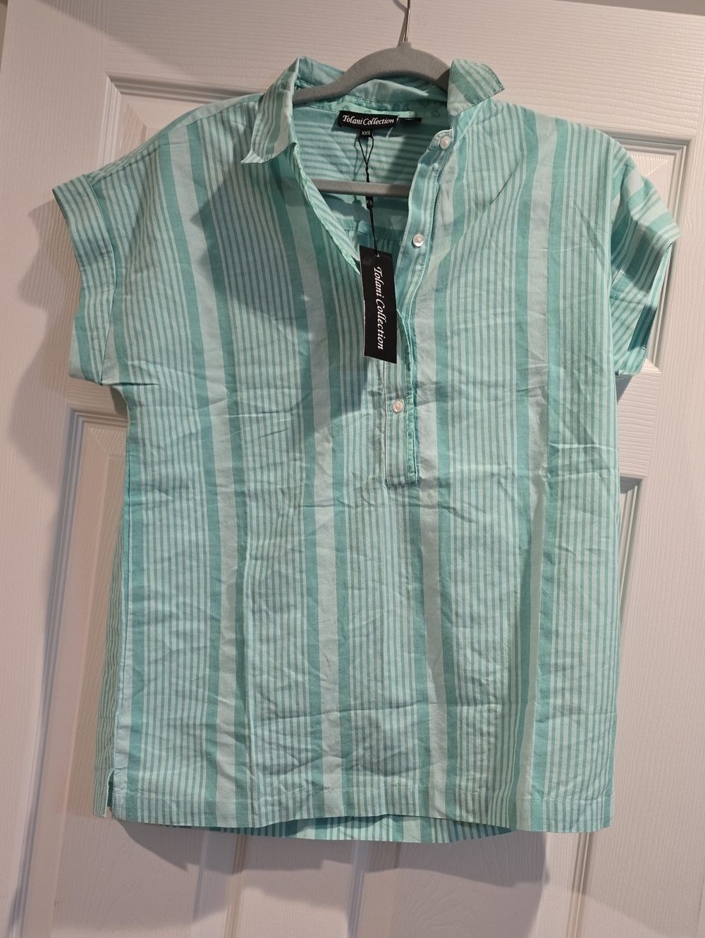 Tolani Mint Green Striped Short-Sleeve Button-Down Shirt